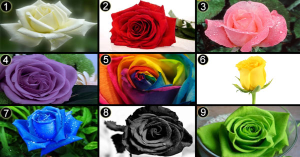 Alege trandafirul care te defineste si vezi ce sentimente iti framanta prezentul!