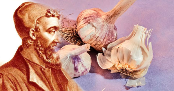 10 beneficiile ale usturoiului cunoscute de pe vremea lui Hippocrate – un elixir pentru sănătate