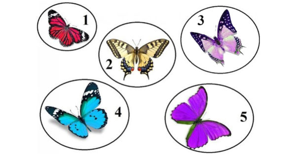 Alege unul dintre cei 5 fluturi si afla cat de puternic este caracterul tau