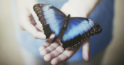 Pilda fluturelui albastru, o poveste care ne va face sa intelegem ca viata este in mainile noastre…  Depinde de noi si doar de noi sa alegem ce sa facem cu ea…