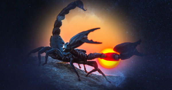 9 motive pentru care Scorpionul este cel mai bun om pe care îl poți avea în viața ta