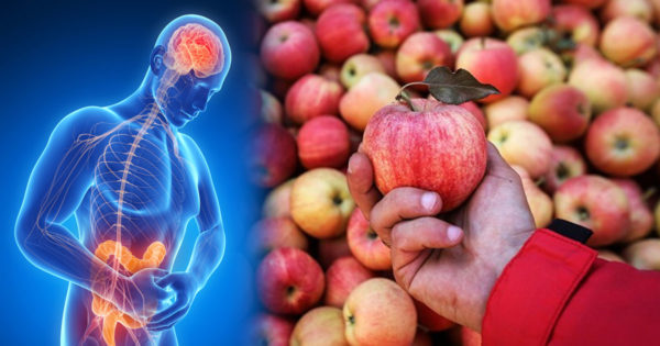 10 motive pentru a mânca mere în fiecare zi