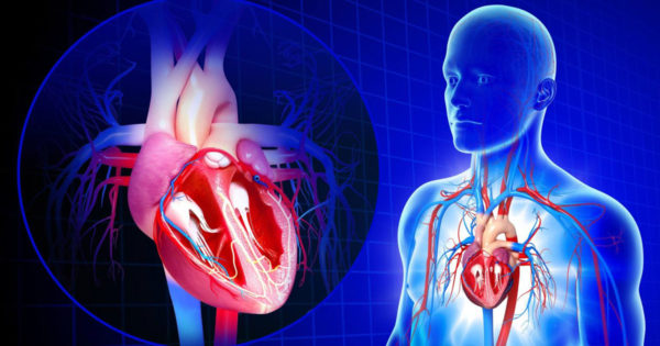 14 simptome neobișnuite care ne avertizează despre probleme cu sistemul cardiovascular