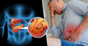 Pancreasul joacă un rol fundamental în digestie. 10 alimente care mențin un pancreas sănătos