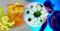 Proprietățile medicinale ale ceaiului din flori de tei – un cadou de la natură pentru sănătatea ta!