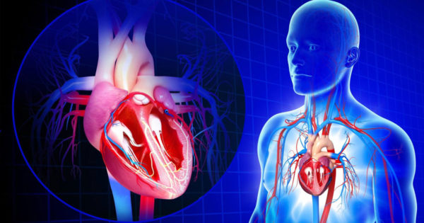 6 produse care ajută la scăderea și reglarea tensiunii arteriale în 15 zile