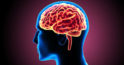 Remedii naturale pentru îmbunătățirea circulației cerebrale: spuneți nu demenței, distragerii atenției și slăbiciunii!