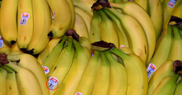 Când cumpărați banane, acordați atenție acestor etichete. Este bine să știți