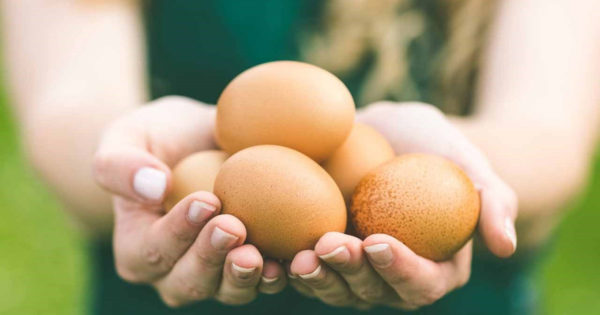 12 lucruri care se întâmplă în organism când mănânci ouă