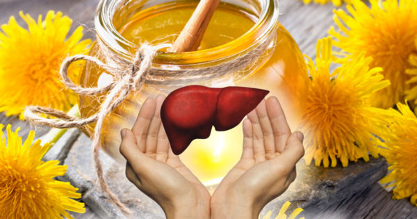 Mierea de păpădie – un remediu universal pentru 1001 de boli