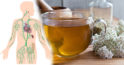 Beneficiile ceaiului de coada șoricelului pentru inimă și imunitate