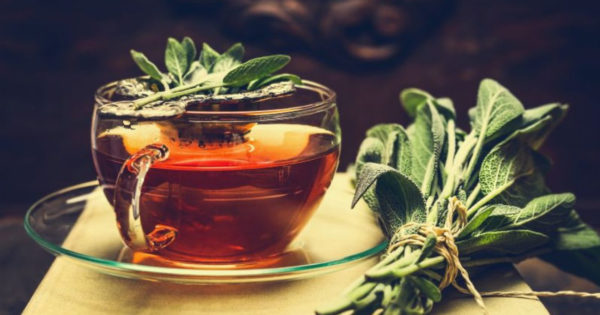 Proprietățile medicinale ale ceaiului de salvie
