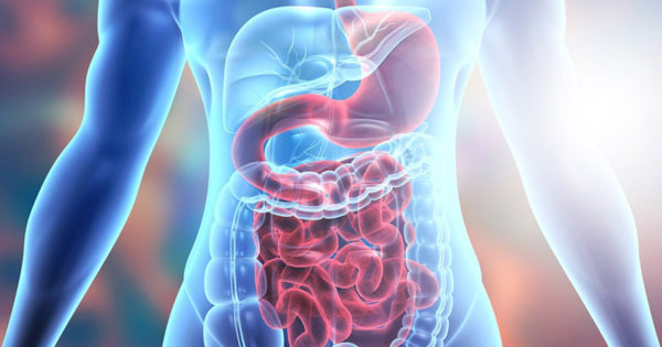Sistemul digestiv joacă un rol important pentru imunitate! 5 sfaturi pentru a vă menține sistemul digestiv sănătos