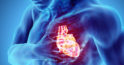 10 curiozități despre corpul tău „A cui inima bate mai repede? A femeii sau a bărbatului?”