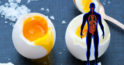 Beneficiile consumului de ouă: care sunt mai bune – ochi, omletă, crude, fierte