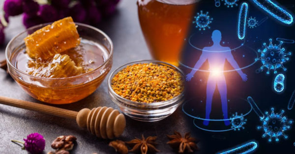 Minunatele beneficii ale propolisului pentru sănătatea noastră – aurul din stup!