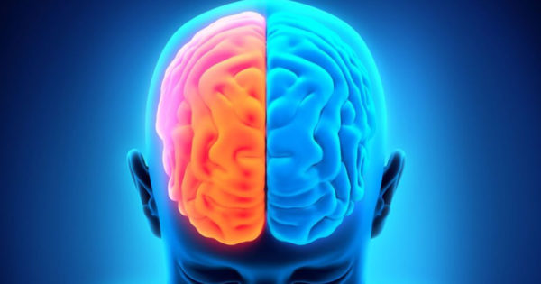 Cum să determinați ce emisferă a creierului vă domină