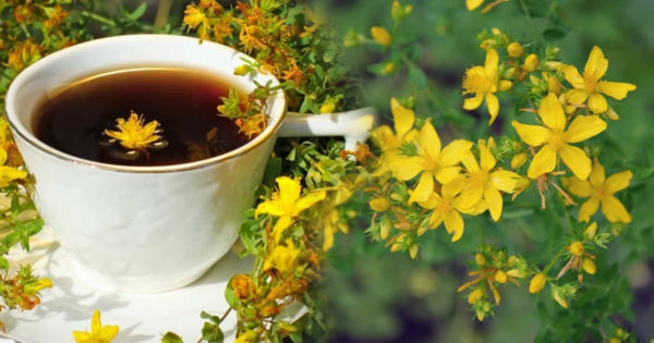 5 beneficii ale ceaiului de sunătoare