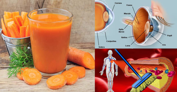 De ce ar trebui să mănânci morcovi în fiecare zi? Motive bune descoperite de cercetarea științifică