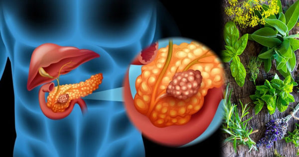 Cele mai sănătoase legume pentru pancreatita cronică, ale căror beneficii sunt adesea subestimate