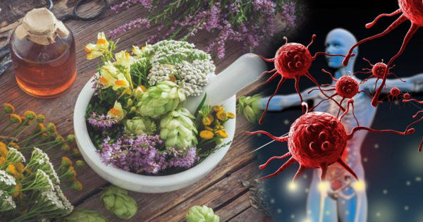 10 antivirale naturale care aduc o contribuție semnificativă la menținerea sănătății