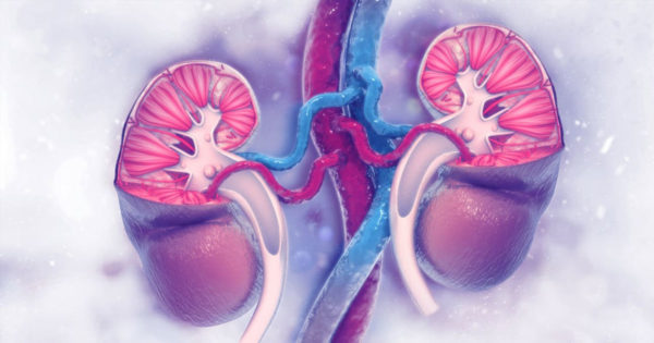 14 obiceiuri comune care ne distrug rinichii