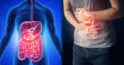 Cele mai frecvente 8 întrebări adresate unui gastroenterolog: ce este important de știut despre sănătatea tractului gastrointestinal