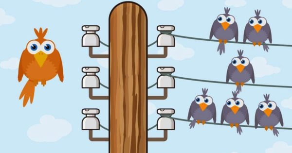 De ce păsările nu se electrocutează pe firele electrice de înaltă tensiune?