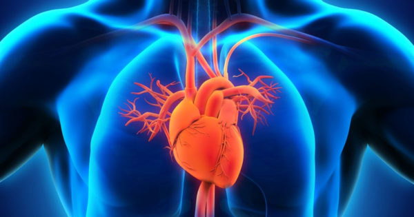 7 moduri de a preveni bolile de inima și cât de bun este uleiul de măsline pentru creier
