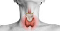Glanda tiroidă: 3 lucruri importante pentru a ajuta la menținerea sănătoasă a acestui organ important