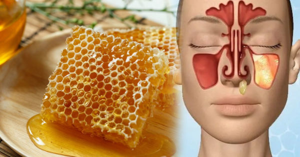 Se spune că fără albine, lumea nu ar mai exista! Beneficiile mierii de albine în sezonul rece