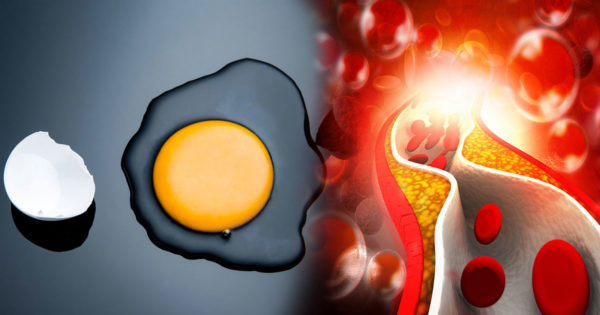 Cum afectează ouăle inima? Câte ouă pe zi poate mânca un adult? – răspunsurile medicilor