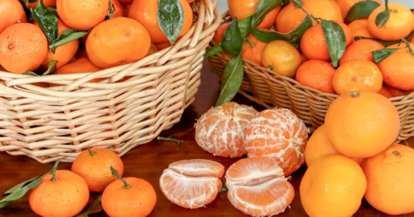 Cele mai adorate citrice de sărbători: clementine și mandarine. Care sunt deosebirile dintre ele și care sunt mai sănătoase