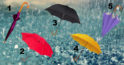 Alege o umbrelă și află la ce ai renunțat în viața ta fără să-ți dai seama