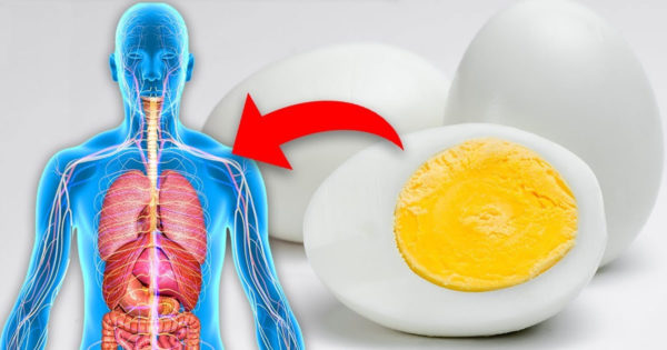 De ce ar trebui să mănânci ouă fierte moi mai des decât ouă fierte tari și cum să fierbi ouăle să nu se întărească