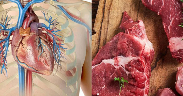 Carne – da – nu – poate sau ce înseamnă carnea pentru sănătatea ta?