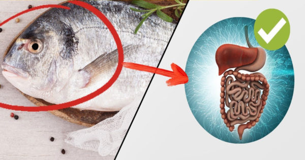 Ce tip de pește poate fi mâncat des și care ar trebui evitat?