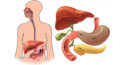 Legătura periculoasă dintre vezica biliară și pancreas, despre care nu știați