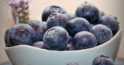 Beneficiile afinei sunt greu de supraevaluat – fructul este minunat din toate punctele de vedere.