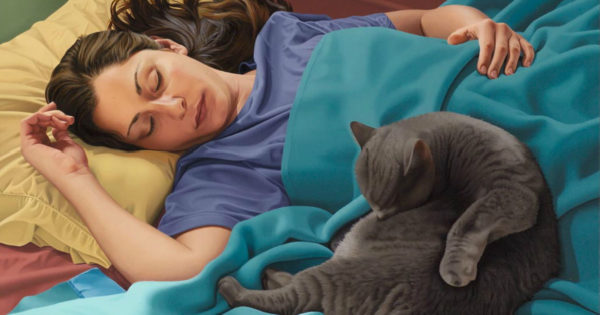Îți place să dormi alături de pisica ta în pat sau în cameră? Iată câteva lucruri pe care ar trebui să le ai în vedere.