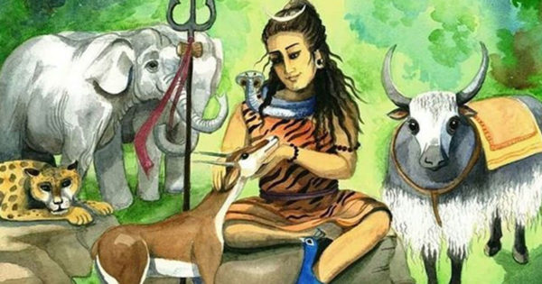 O poveste înțeleaptă din înțelepciunea indiană: De ce nu trebuie să rănești animalele?